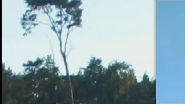 UFO Pictures Part II