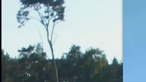 UFO Pictures Part II