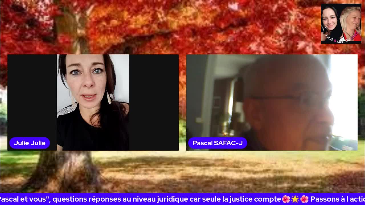 🌟🌺🌟Pascal & Vous 2/11🌟🌺🌟