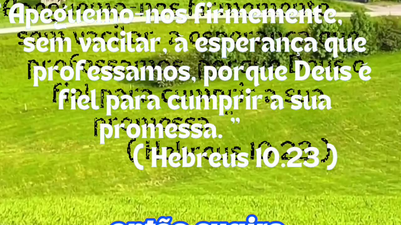 A Nova Bíblia ???