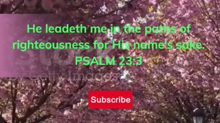 PSALM 23:3