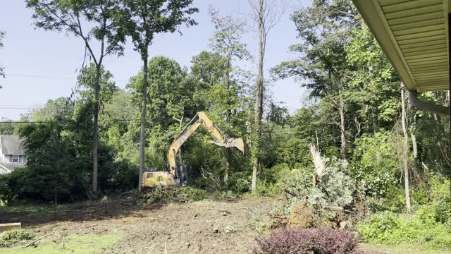 Just a big machine knocking down a tree.