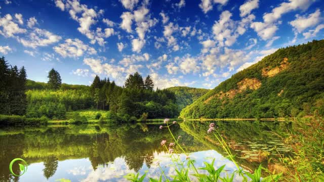 Relaxing Music | Sleeping, Meditation, Stress Relief | [6372] ⭐️