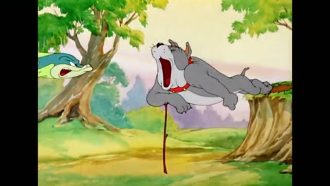 Tom & jerry -_Cats V. S. DOGS _classic Cartoon Compilation