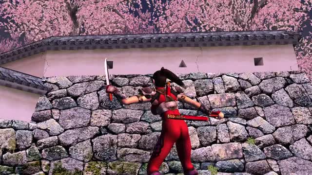 Soul Calibur 2 | Taki | Exhibition Demo