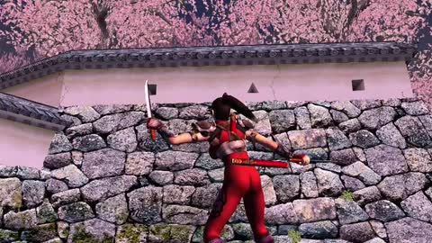 Soul Calibur 2 | Taki | Exhibition Demo