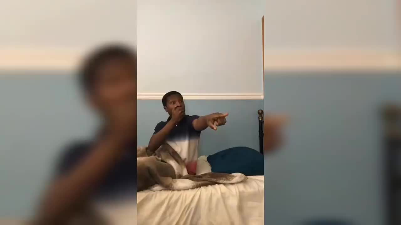 Funny tik toks videos , viral videos, must watch