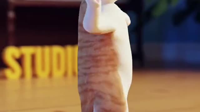 Funny cat