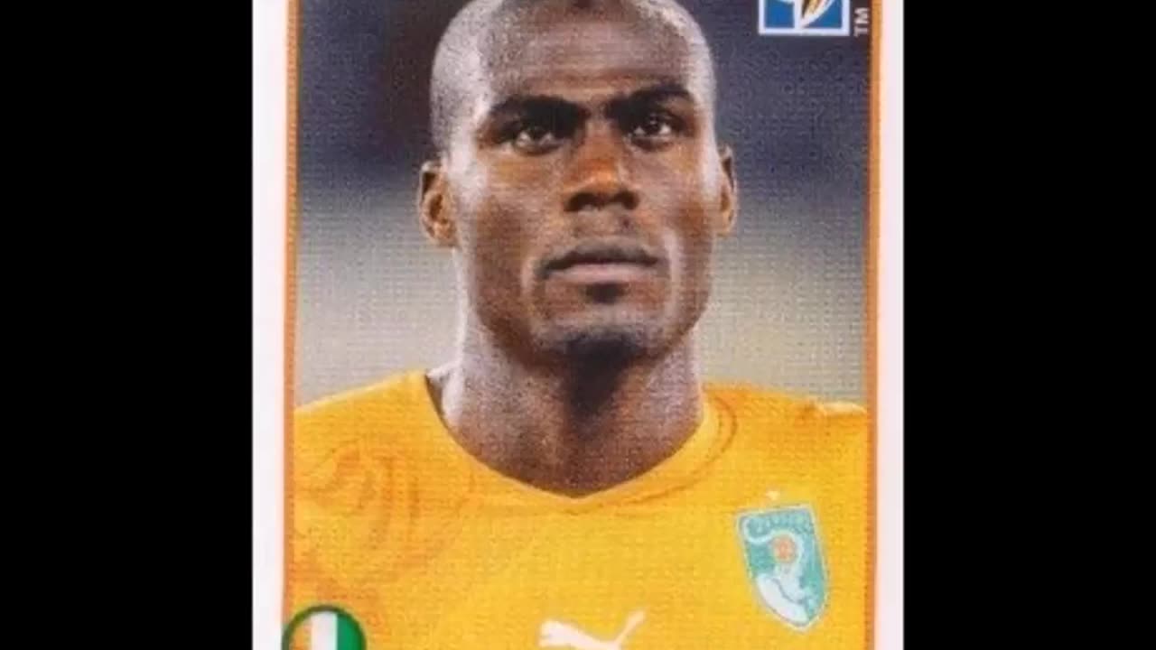 PANINI STICKERS IVORY COAST TEAM WORLD CUP 2010