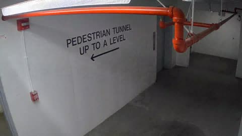 6013WHUGGELobby_2021-01-05_03h15min14s183ms.mp4