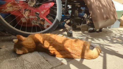 2023-05-27 (6) - (live sans titre) - Twitch Publicités (version avec chat)