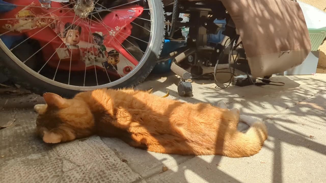 2023-05-27 (6) - (live sans titre) - Twitch Publicités (version avec chat)