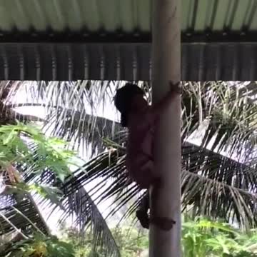 Girls don't have to be gentle