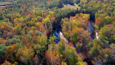 Foliage Fall Autumn
