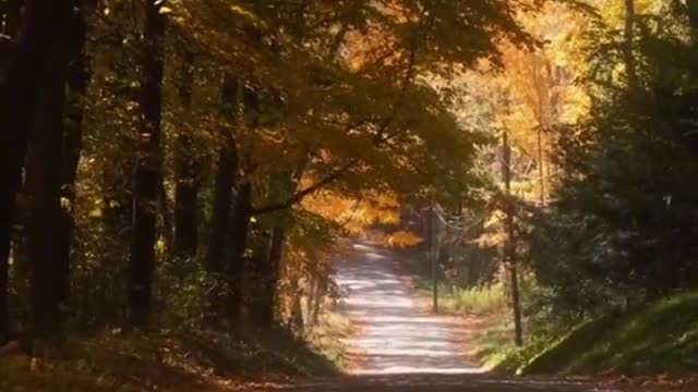 Let all the troubles go with the autumn wind