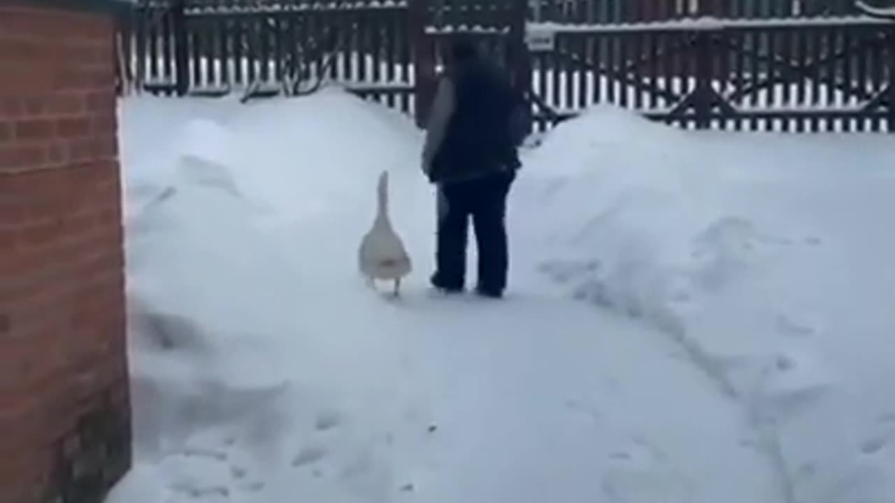 Such a Beautiful Moment #shorts #viral #shortsvideo #video