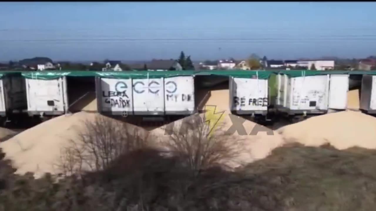 Los agricultores polacos continĂșan saboteando las entregas de cereales de Ucrania.
