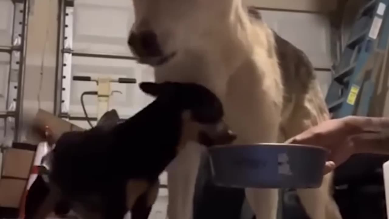 funny meme 02