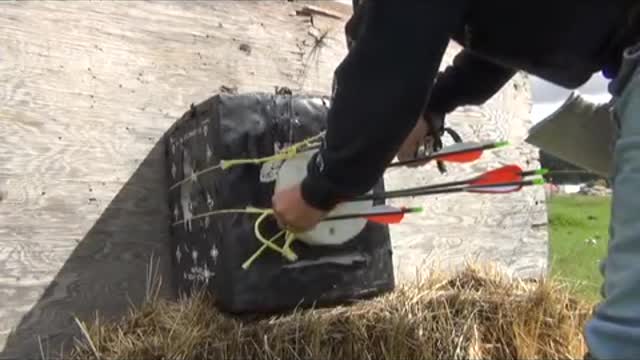 Pre hunt accuracy