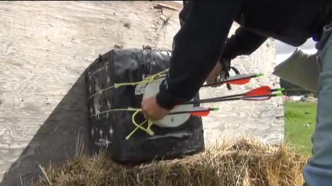 Pre hunt accuracy