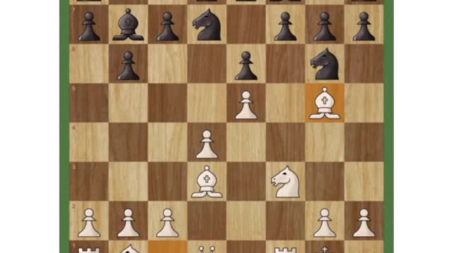 WATCH AND LEARN | Don't feed your queen!