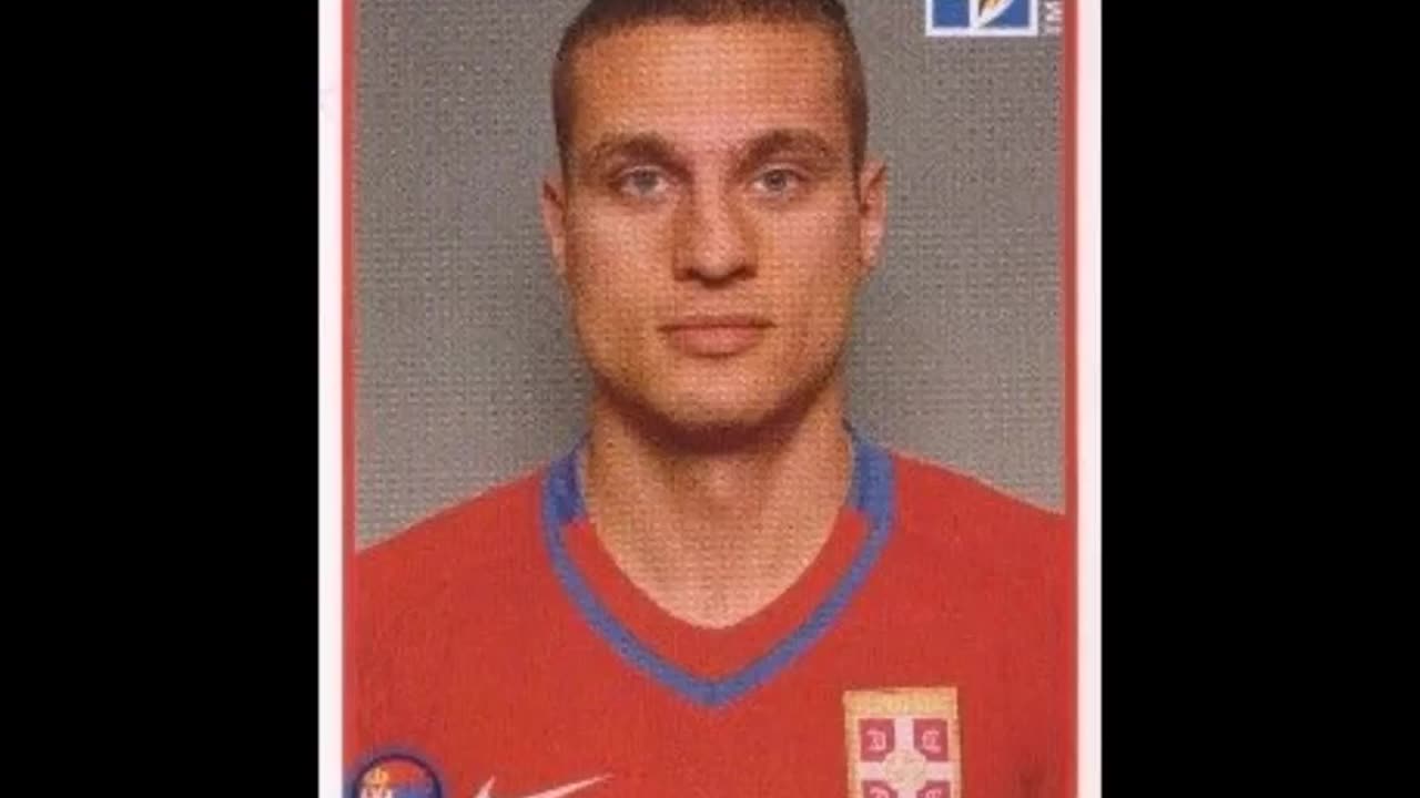 PANINI STICKERS SERBIA TEAM WORLD CUP 2010