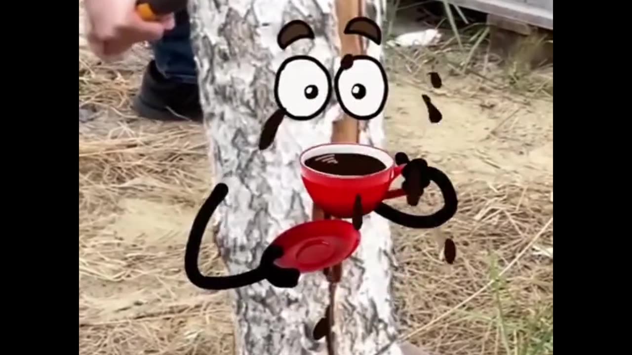 funny videos.. funny shorts #shorts #funnyshorts #funny