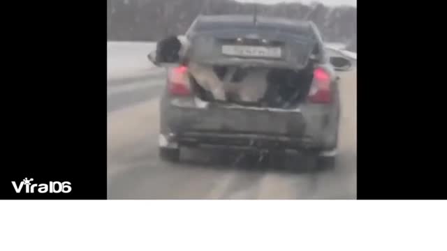 THIS POOR DOG JUMP OFF THE CAR