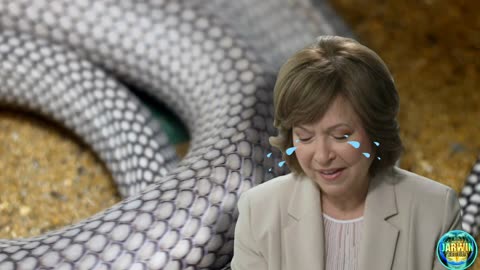 Le serpent médiatique se mord la queue. On avance 🧐🐍📺... 🤓