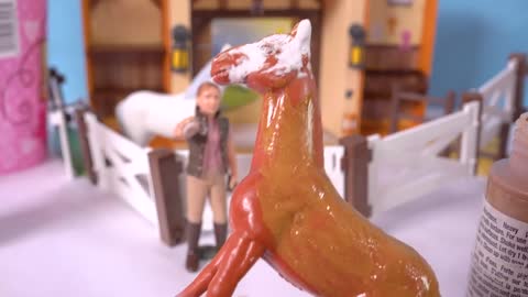 fuuny animals video