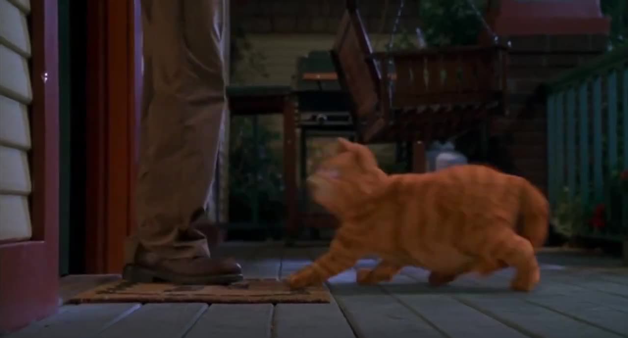 Garfield (2004) - Garfield Unintentionally Destroys The House_Gets Kicked Out