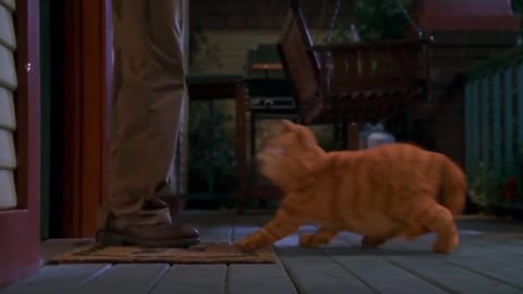 Garfield (2004) - Garfield Unintentionally Destroys The House_Gets Kicked Out