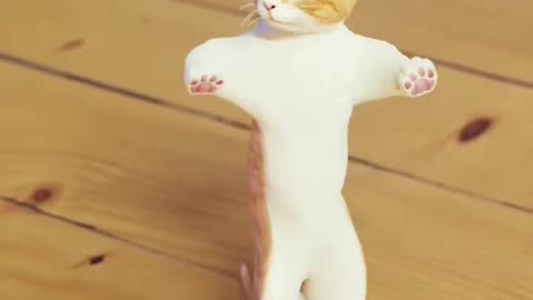 Funny cats dance 🤣🤣🤣🤣