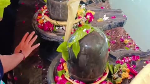 श्रावण मास की बधाई #हरहरमहादेव #harharmahadev #mahadev #shorts #jaibholenath #हरहरमहादेव #viral