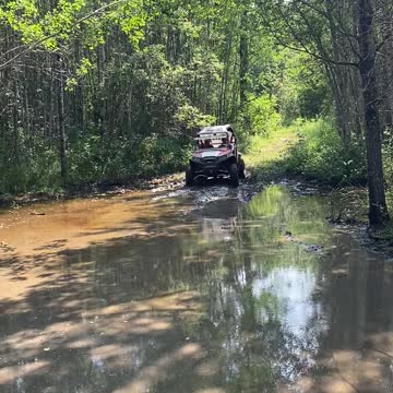 Rzr in the Mud
