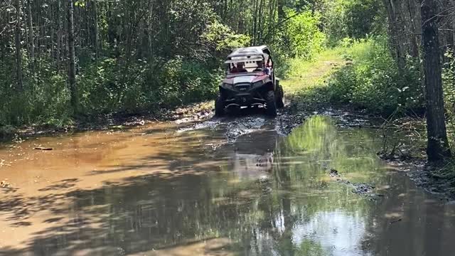 Rzr in the Mud