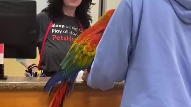 Funny Parrot 🦜 👈🤣