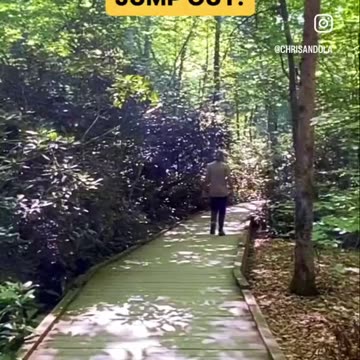 RHODODENDRONS CROWDED BOARDWALK