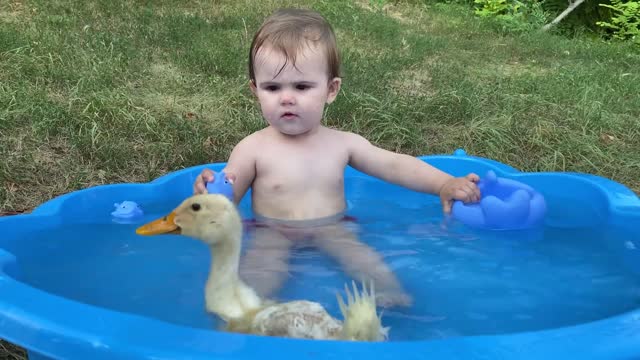 The best Funny Baby Reaction to Duckling in the Pool