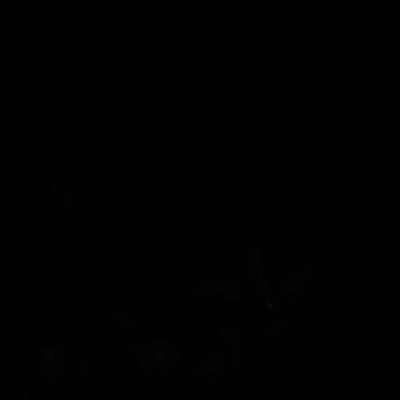 30.10.2024 Party in the Park, Kuranda (8)