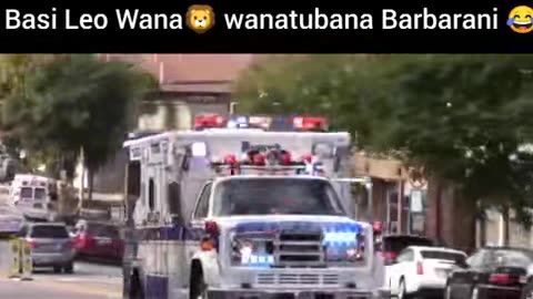 Funny videos