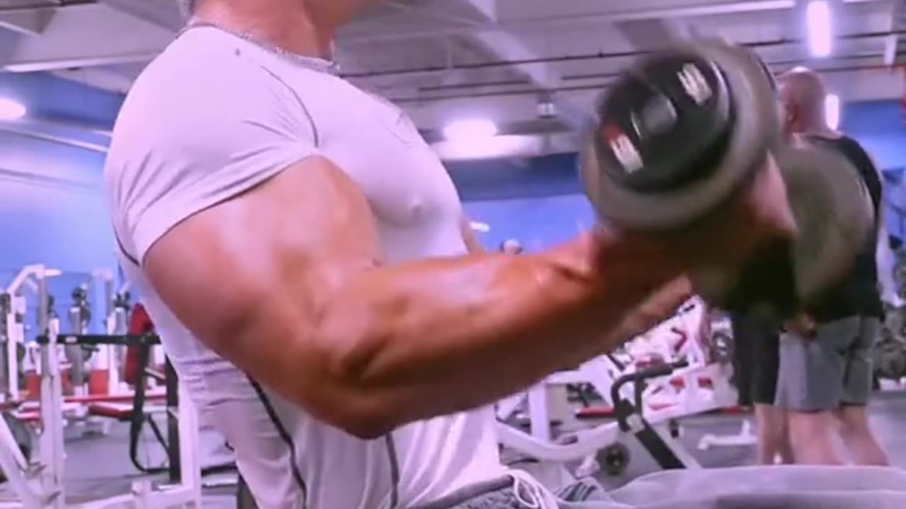 "Mastering the Art of Combat: A Comprehensive Guide on How to Fight"