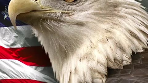 Is your testimony one of the key reasons Jack Smith can't and won't indict President Trump