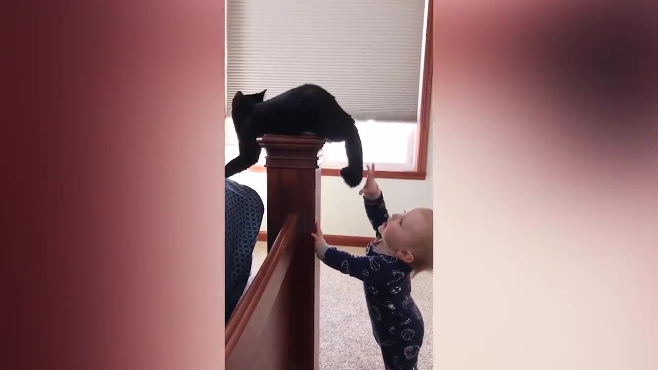 Baby And Cat Fun And Cute #5 - Funny Ba