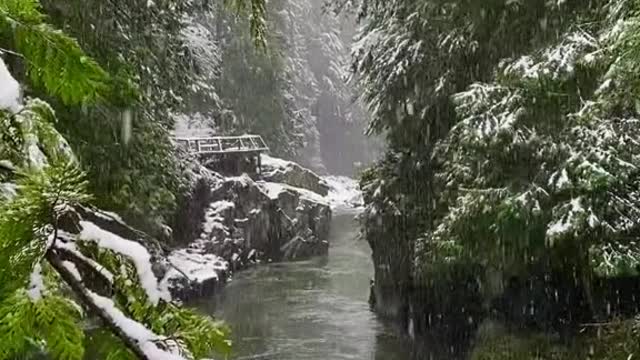 Summer or Winter
