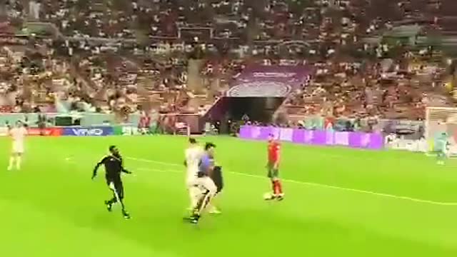 This pitch invader during the Portugal-Uruguay match was holding a rainbow flag.