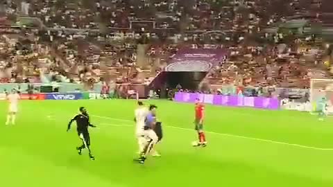 This pitch invader during the Portugal-Uruguay match was holding a rainbow flag.