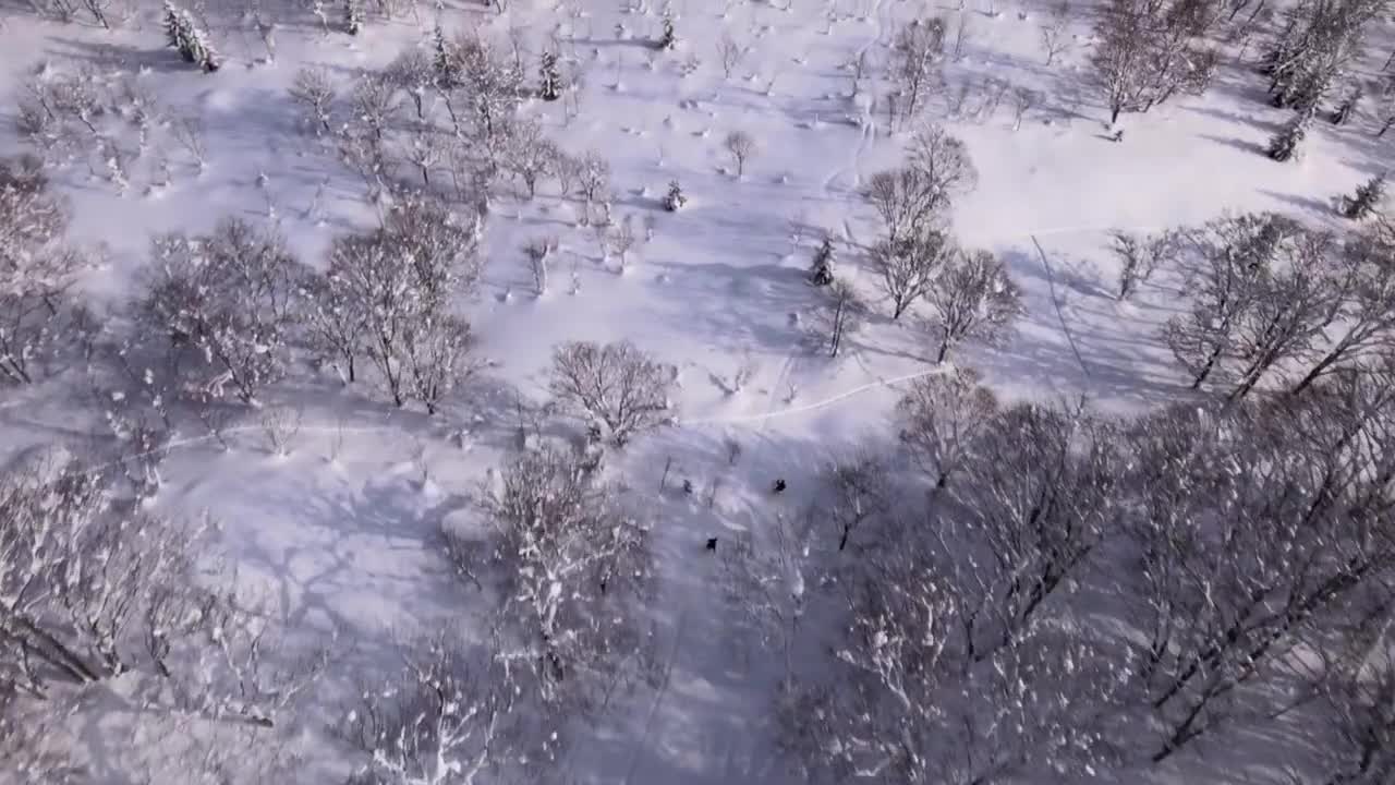 NiJuNiJu 2 - A Niseko Japan powder snow story.