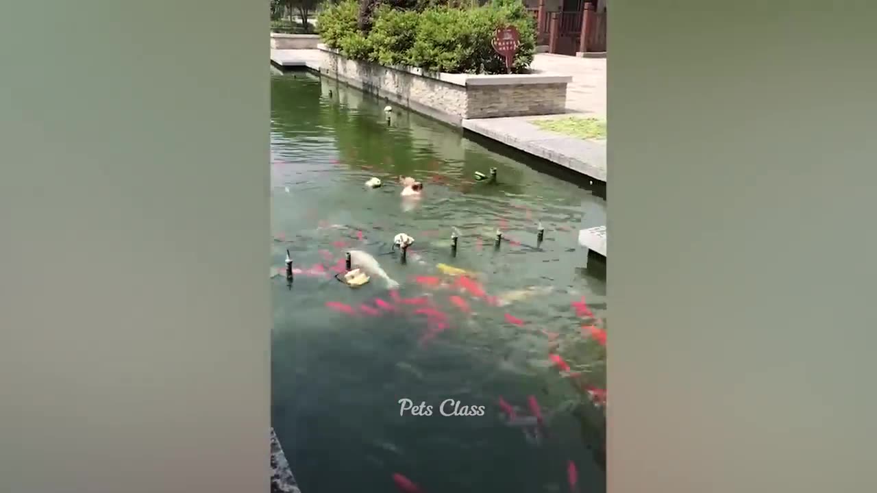 DON'T DO THAT SH****T