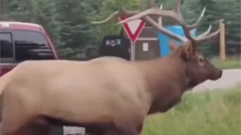 When She Isn't In The Mood